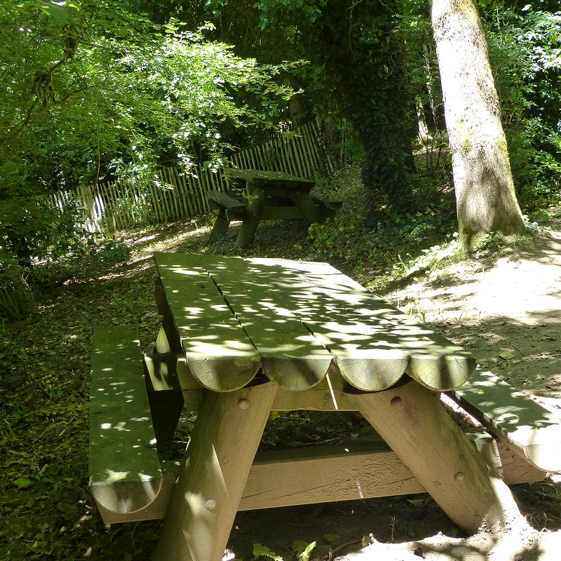 Table de pique-nique en bois dans une forêt ombragée. Le soleil filtre à travers les arbres, projetant des taches de lumière sur la surface.